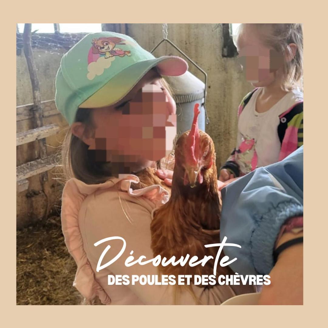 Apartamento La Ferme Du Solvat Courcelon