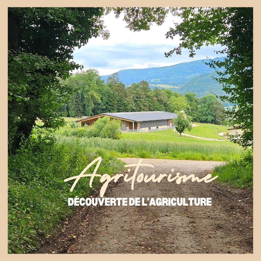 La Ferme Du Solvat Apartamento