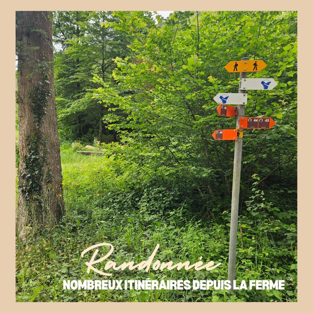 La Ferme Du Solvat Apartamento *